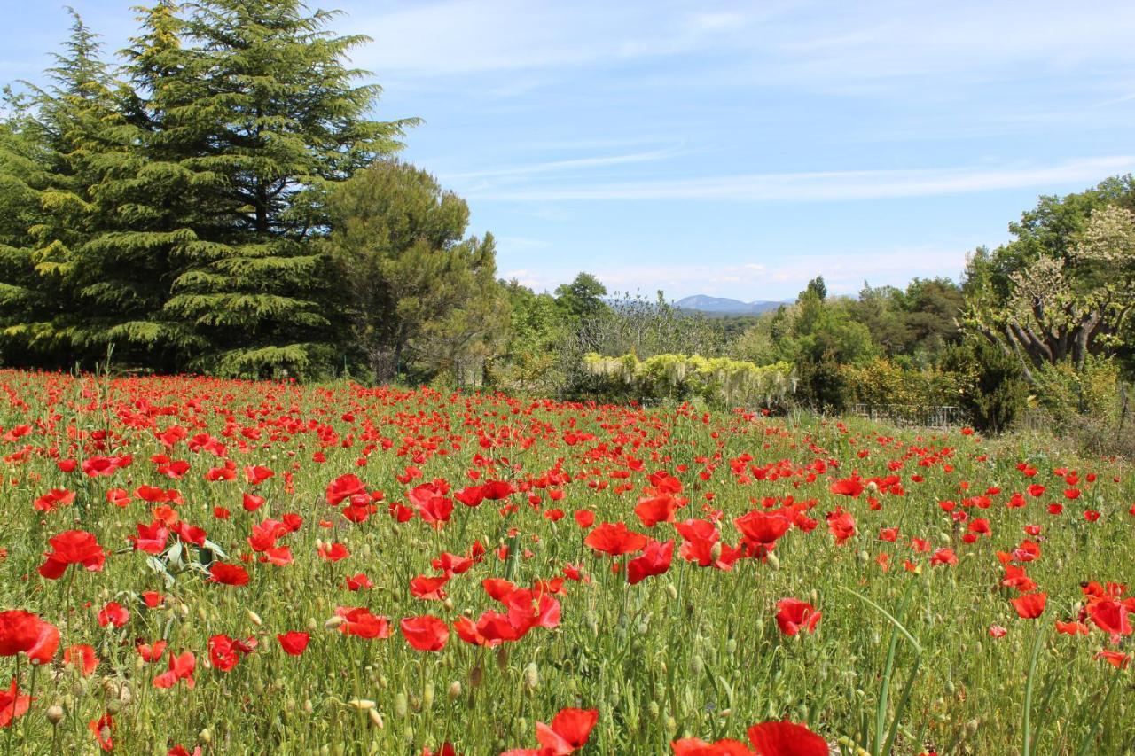 Les Logis De Paban Bed & Breakfast Crestet Dış mekan fotoğraf