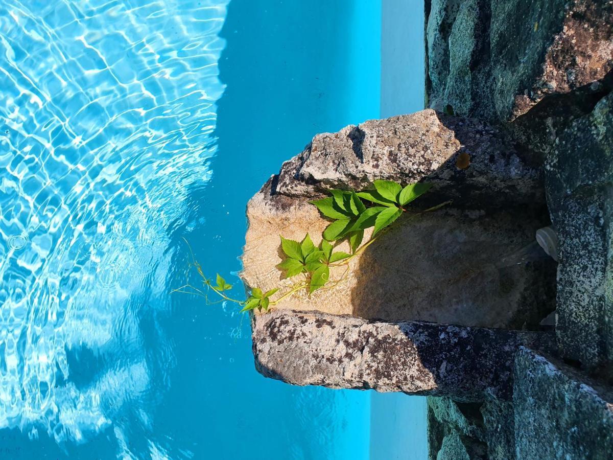 Les Logis De Paban Bed & Breakfast Crestet Dış mekan fotoğraf